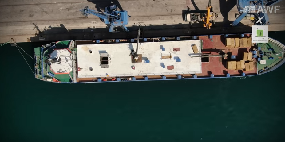 The Most Dangerous Ships in the World